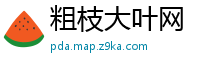 粗枝大叶网
